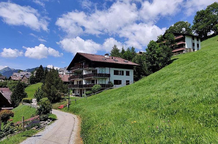 Appartement im Gründli