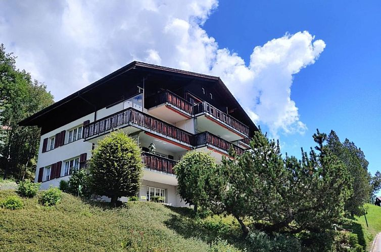 Appartement im Gründli