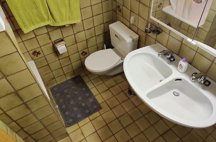 Appartement im Gründli