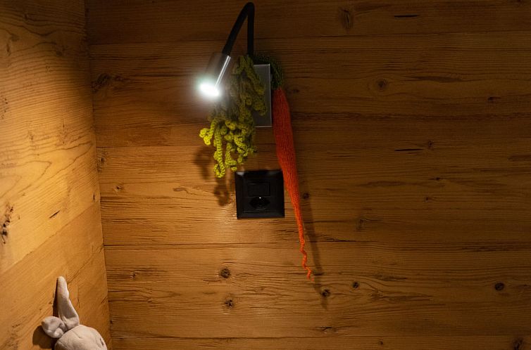 Vakantiehuis Chalet Frümsel