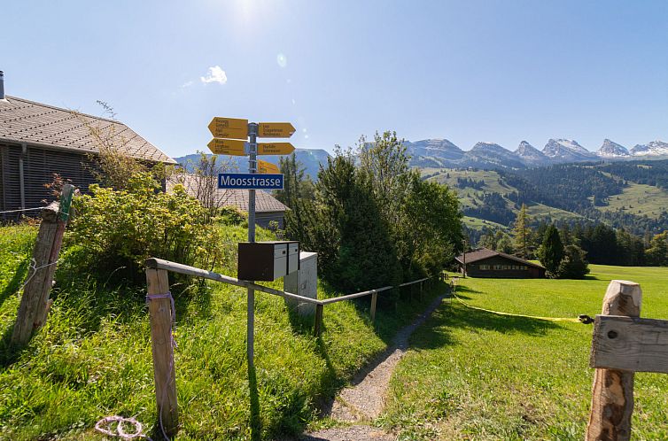 Vakantiehuis Dorea