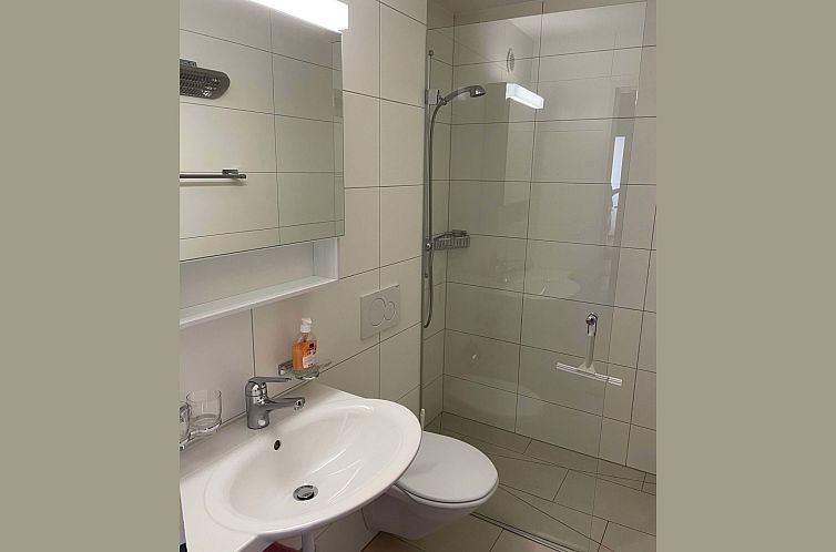 Guest house 18210601 - Apartment Under Gräub / Grisons - Appartement Wohnung Ohlenroth-Kalberer, (Sarn-Lescha).