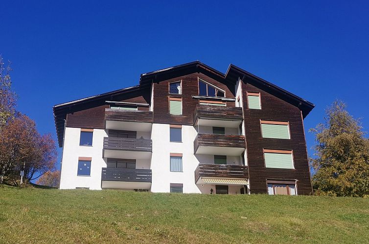 Guest house 18211103 - Apartment Under Gräub / Grisons - Appartement Gemütlichkeit