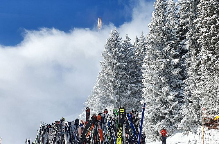 Appartement Gemütlichkeit
