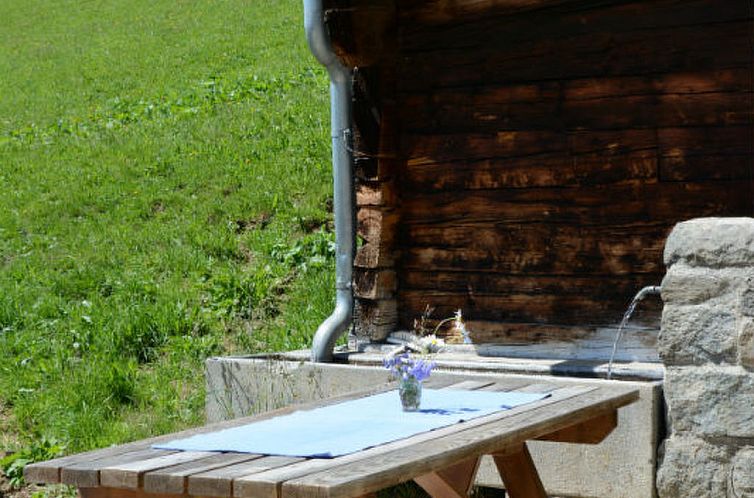 Appartement Maiensäss Plumarscha Friberg, Brigels, (Breil/B