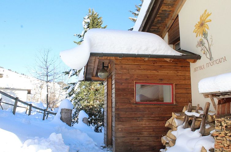 Appartement Ferienhaus Arnika Montana, Brigels, (Breil/Brige