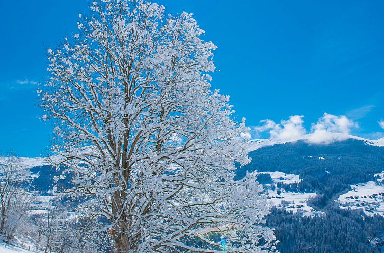 Appartement Casa Panorama Camartin, Brigels, (Breil/Brigels)