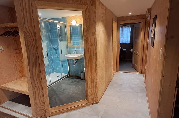 Guest house 18211175 - Apartment Under Gräub / Grisons - Appartement Chalet Suveran 2 Appartement/Fewo, Dusche oder B
