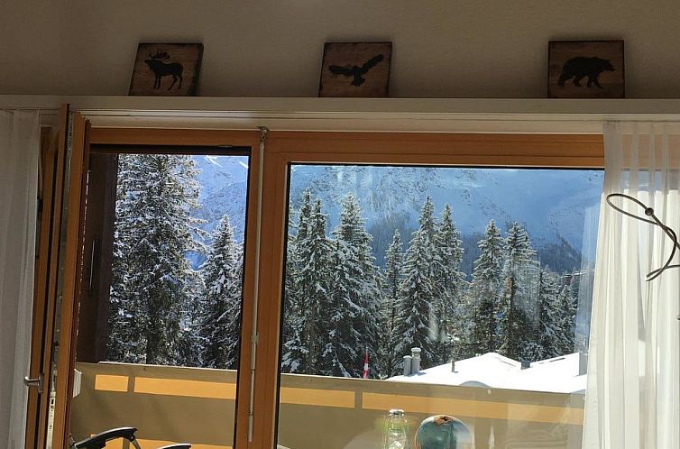 Appartement I dr Rehwiesa C31 Appartement/Fewo,  , 4-Bettwoh