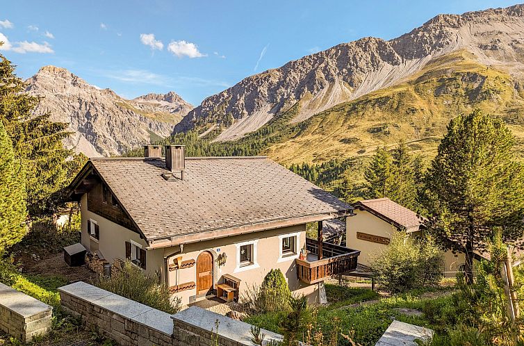 Appartement Chalet Steinbock by Arosa Holiday Chalet Steinbo