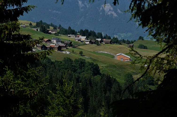 Appartement Hof Beeli, (Tschappina).