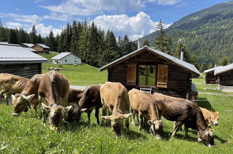 Vakantiehuis Alphütte-Maiensäss Got Spess Lenzerheide