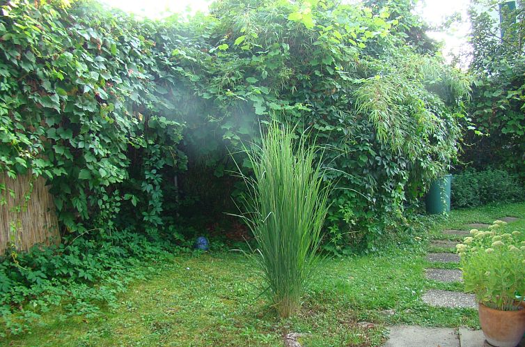 Appartement Wohlfühloase