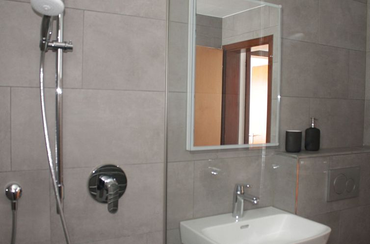 Appartement Tgèsa Pitgmun Aufdenblatten