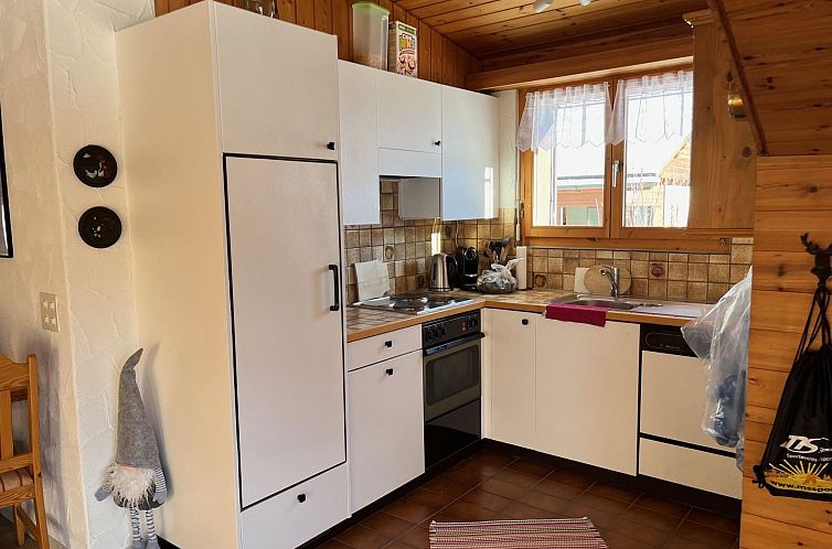 Appartement Casa Tresch Sedrun