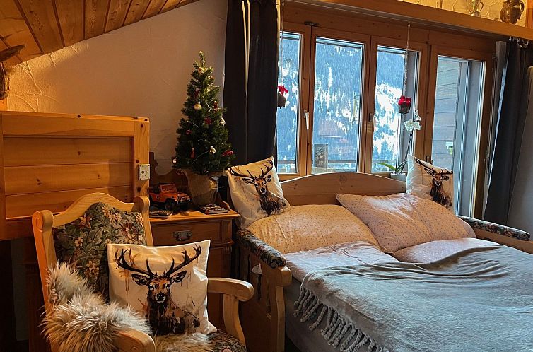 Appartement Casa Tresch Sedrun