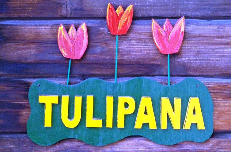 Appartement Tulipana Berther, (Sedrun).