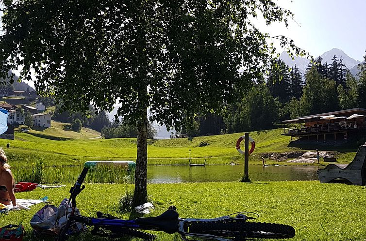 Appartement Dentervitgs, (Sedrun), 136.04