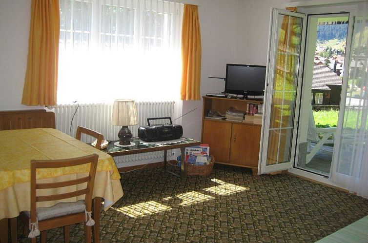 Appartement Ferienwohung Cavegn-Deplaz, (Sedrun).