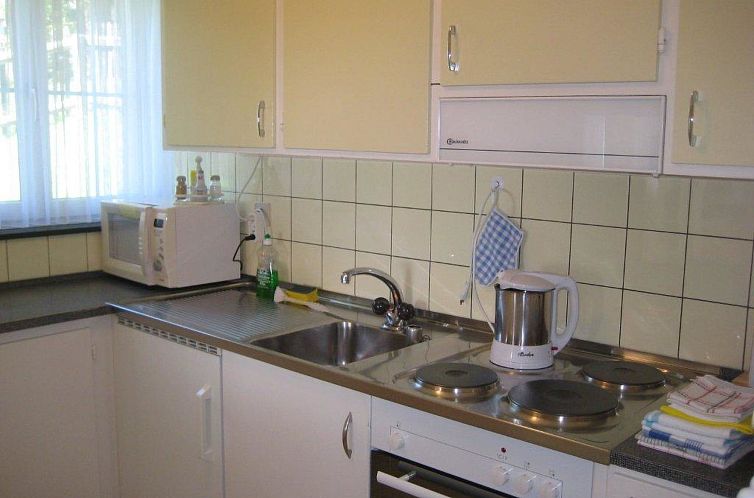 Appartement Ferienwohung Cavegn-Deplaz, (Sedrun).