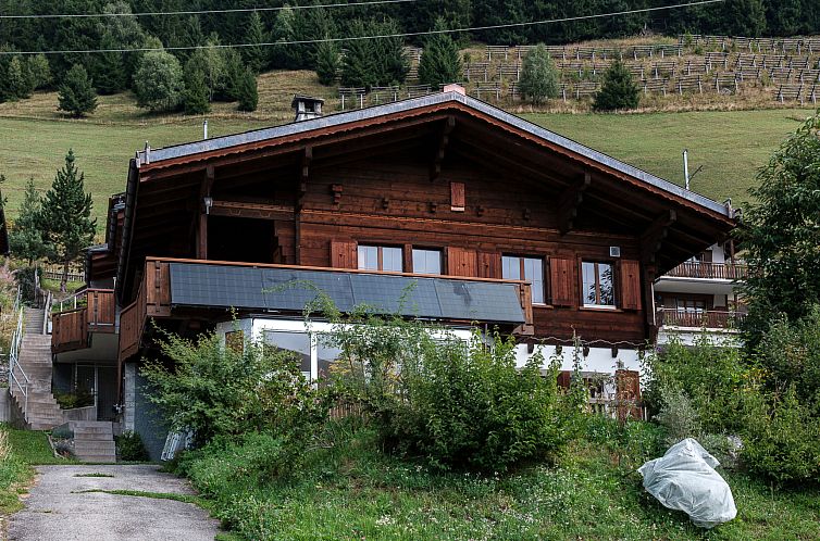 Appartement Tingalina Reichlin, (Sedrun).