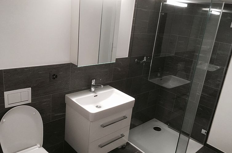 Guest house 18212640 - Apartment Under Gräub / Grisons - Appartement Casa Nacla, (Sedrun/Surrein).