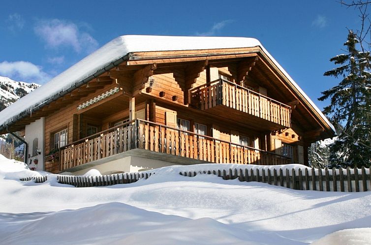 Appartement Ferienwohung Cavegn-Cavigelli, (Sedrun).