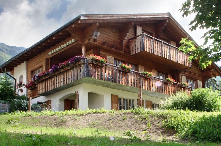 Appartement Ferienwohung Cavegn-Cavigelli, (Sedrun).