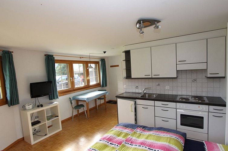 Appartement Murmina Schmid, (Sedrun).