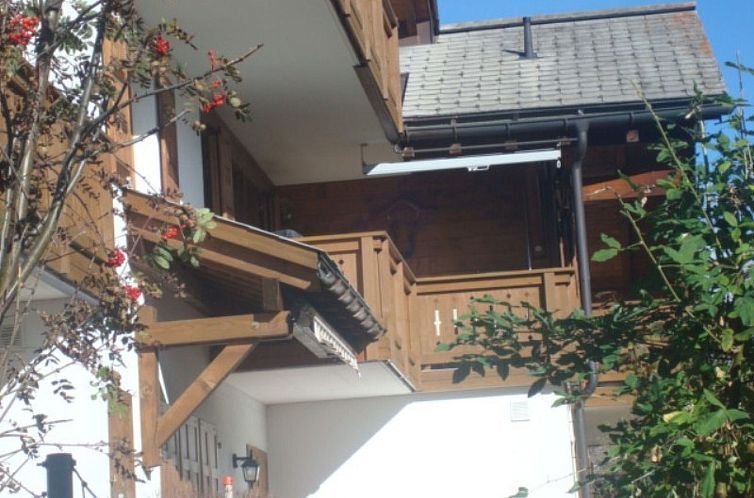 Appartement Casa Zypriana Hüflinger, (Sedrun).