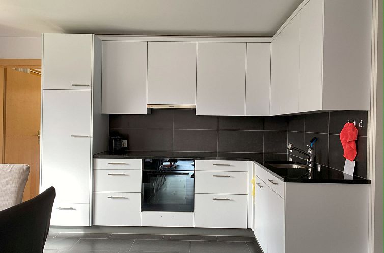 Appartement Dentervitgs, (Sedrun).