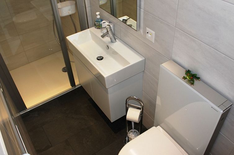 Appartement Decurtins, (Rueras/Sedrun), 661.01