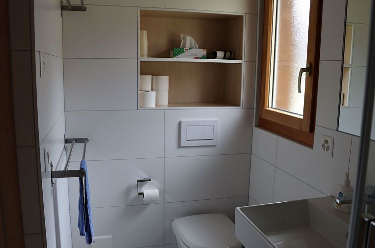 Appartement Tgèsa Alpina Müller, (Rueras/Sedrun), 956.01