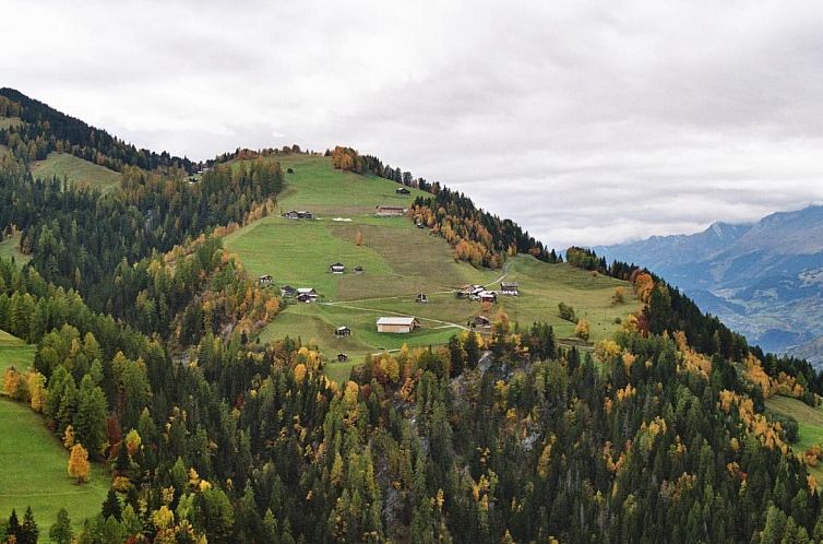 Vakantiehuis Altes Walserhaus