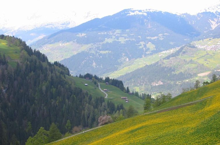 Vakantiehuis Altes Walserhaus