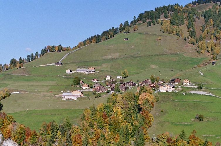 Vakantiehuis Altes Walserhaus