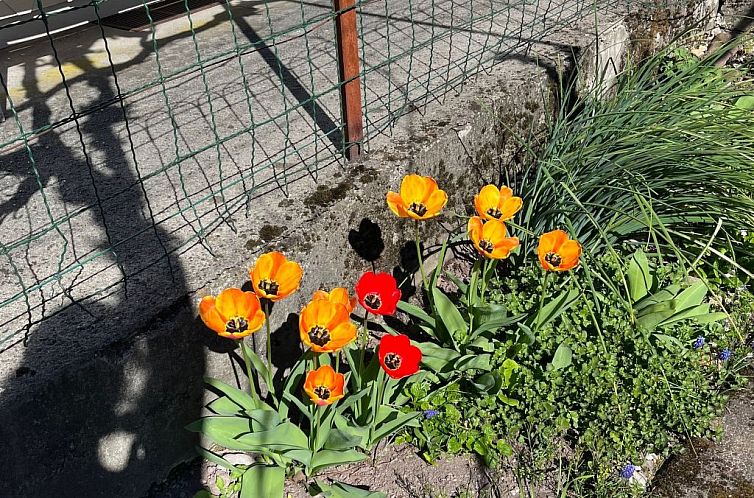 Vakantiehuis Sunnähöggli