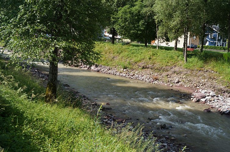 Appartement Schils, (Flums). 5 Zimmerhaus mit Bad/Dusche