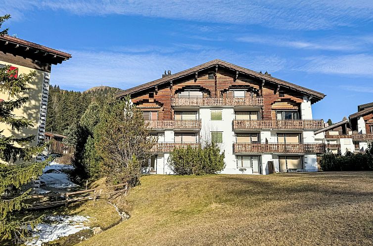 Guest house 18214519 - Apartment Under Gräub / Grisons - Appartement Chesa Gop