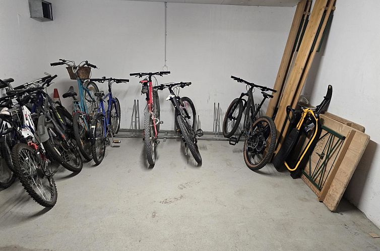 Appartement La Riva Mountain Apartment