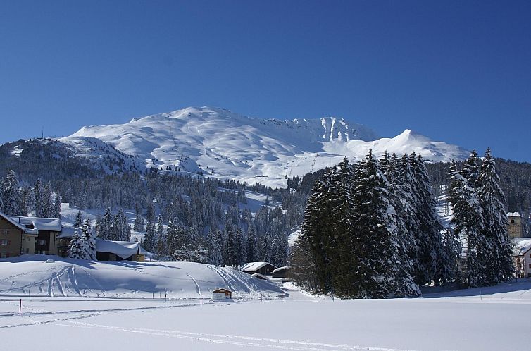 Appartement Triangel A Leppin