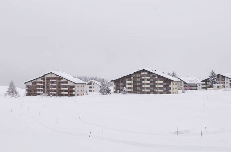 Appartement Ski in-Ski out Ferienwohnung Heimberg in Parpan-