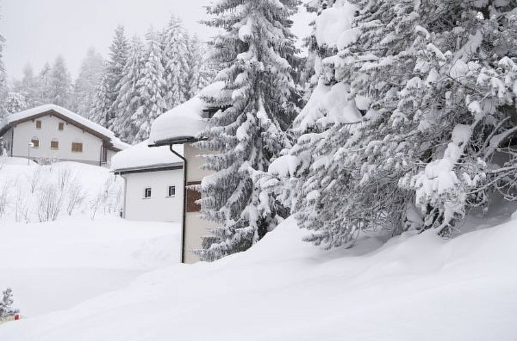 Appartement Ski in-Ski out Ferienwohnung Heimberg in Parpan-