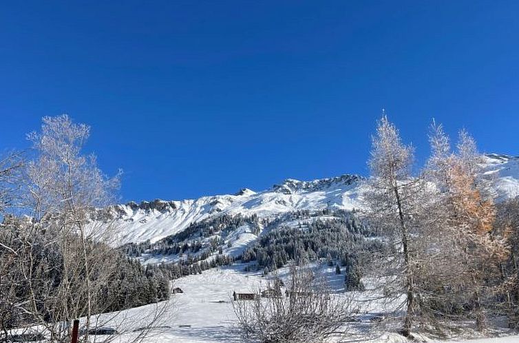 Appartement für Skibegeisterte Triangel D - Parpan
