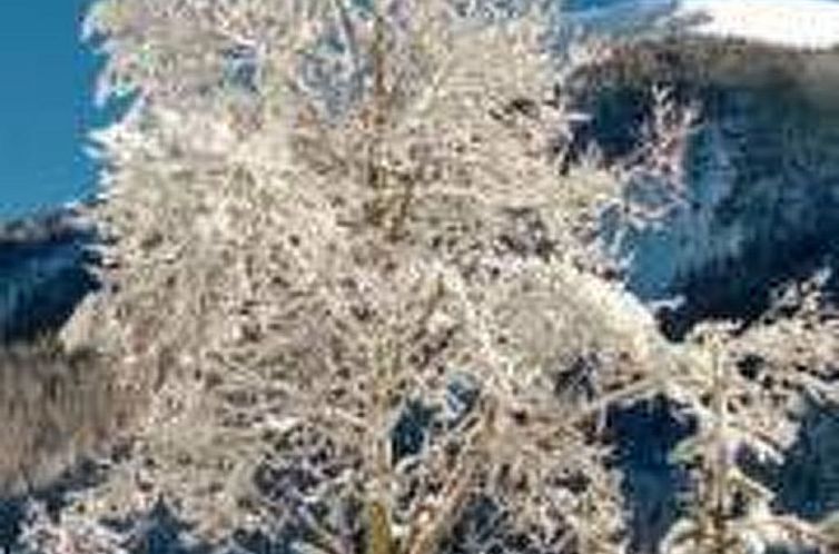 Appartement Ferienwohnungen Chasa Muglin 30, (Tschierv).