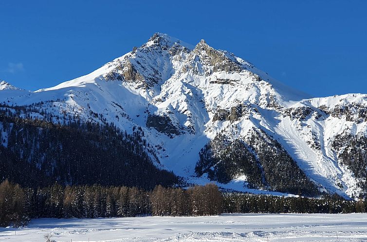 Appartement Chasa Müfaits Parterre, (Tschierv).