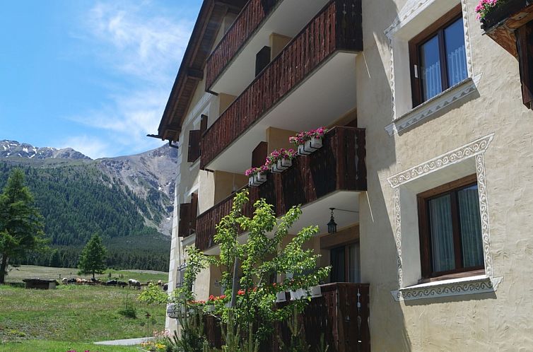 Appartement Chasa Grava 28, (Tschierv).