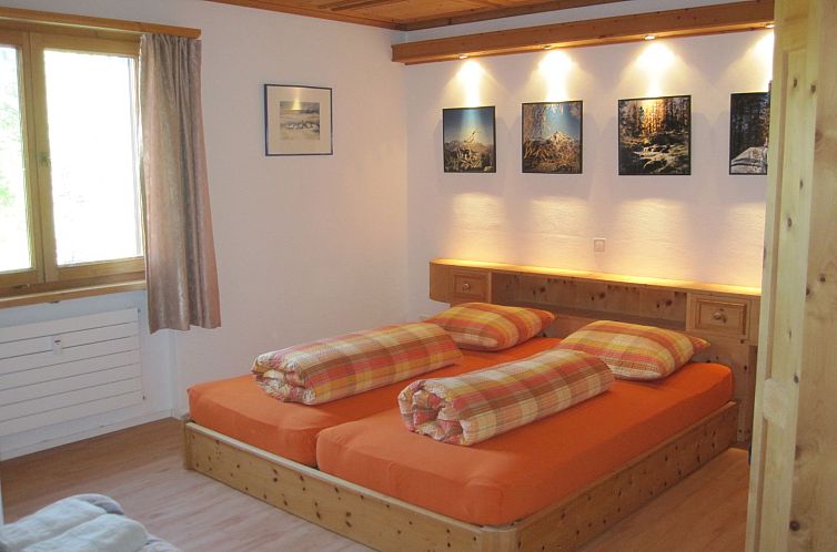 Appartement Chasa Grava 28, (Tschierv).