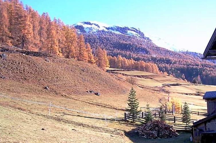 Appartement Chasa Pitsch, (Tschierv).