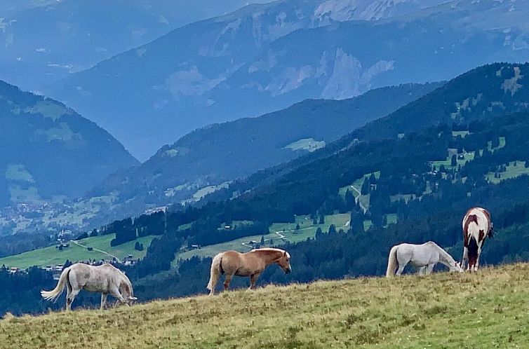 Vakantiehuis Cosey Family Chalet mit herrlichem Alpenblick